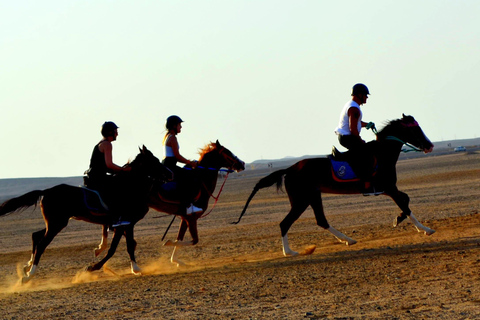 Marsa Alam: Passeio a cavalo pelo mar e pelo deserto