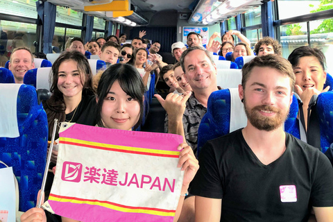 Tokyo: Kamakura & Enoshima Day Tour with Pickup & Train Ride 8:30AM Meet at Tokyo Stn Marunouchi North with Driver