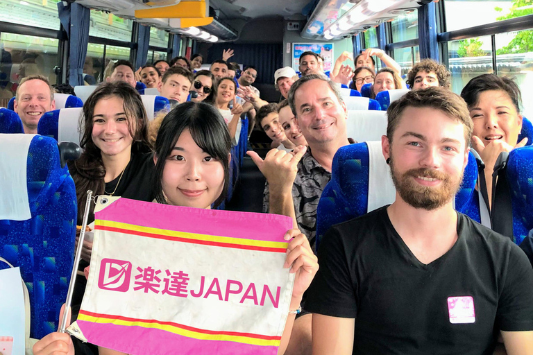 Tokyo: Kamakura & Enoshima Day Tour with Pickup & Train Ride 8:30AM Meet at Tokyo Stn Marunouchi North with Driver