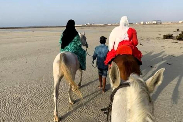 Doha: Horse Riding with Transfers