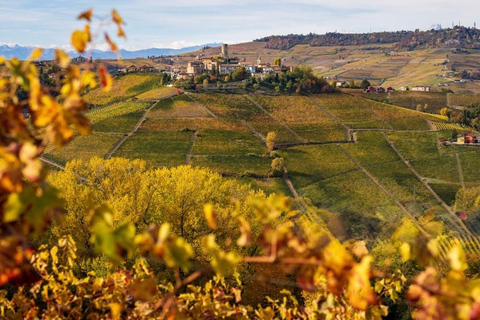 Milan: Barolo Vineyards & UNESCO Wine Cathedral Experience