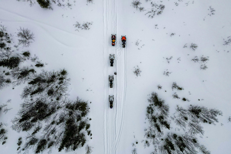 Canmore/ Banff: Snowmobile Riding Adventure in Golden Town