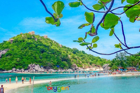 Koh Tao in a Day: Turtles, Hidden Reefs & Nangyuan Viewpoint