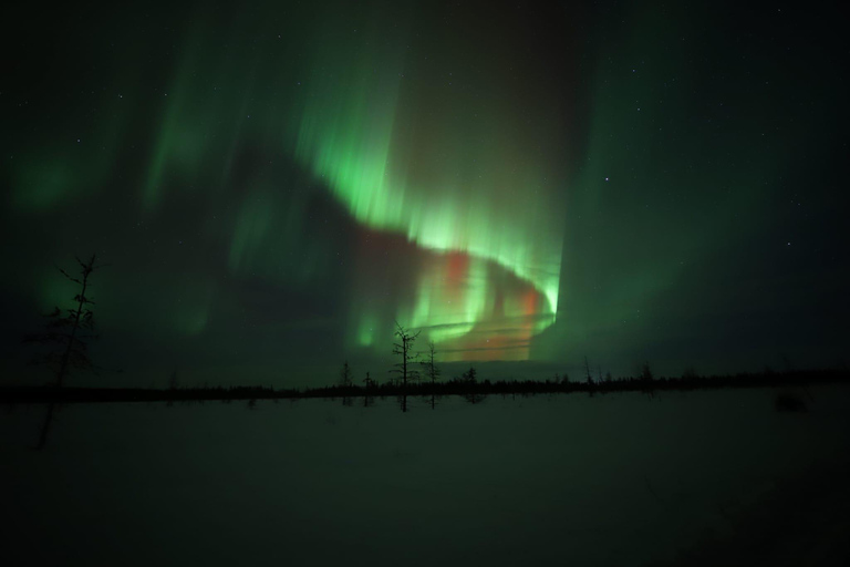 Levi: Aurora Hunting by Car