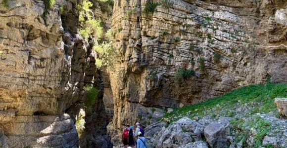 Chania: Imbros Gorge Hike & Local Winery Experience