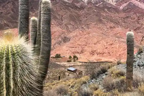 TREK CORAZÓN HORNOCAL TODO INCLUIDO 4 DÍAS + AEROPUERTO IN/OUT