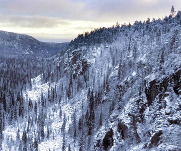 Rovaniemi: Excursión de un día guiada al Parque Nacional de Korouoma con barbacoa