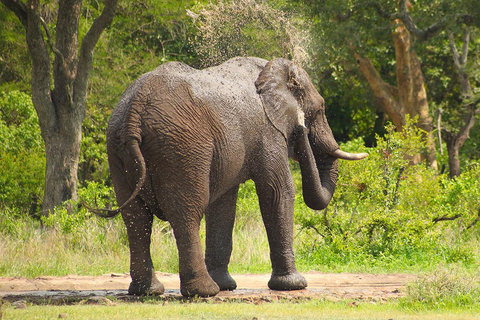 4 Day Breathtaking Safari in Kidepo Valley National Park