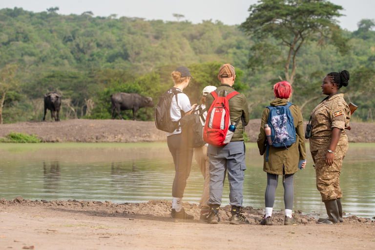 Uganda: 4-Day Gorilla Trekking and Wildlife Safari