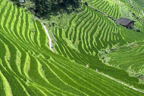 Guilin: Day tour of Longji Rice Terraces and YangshuoLongji rice terraces and Yangshuo Xingping small boat