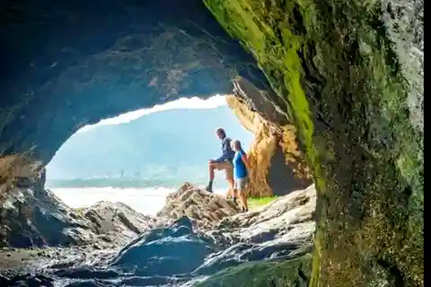 Port Elizabeth: Tsitsikama National Park full-day