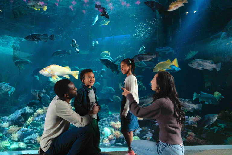 Aquarium de Vancouver : billet coupe-fileVancouver : billet coupe-file pour l'aquarium