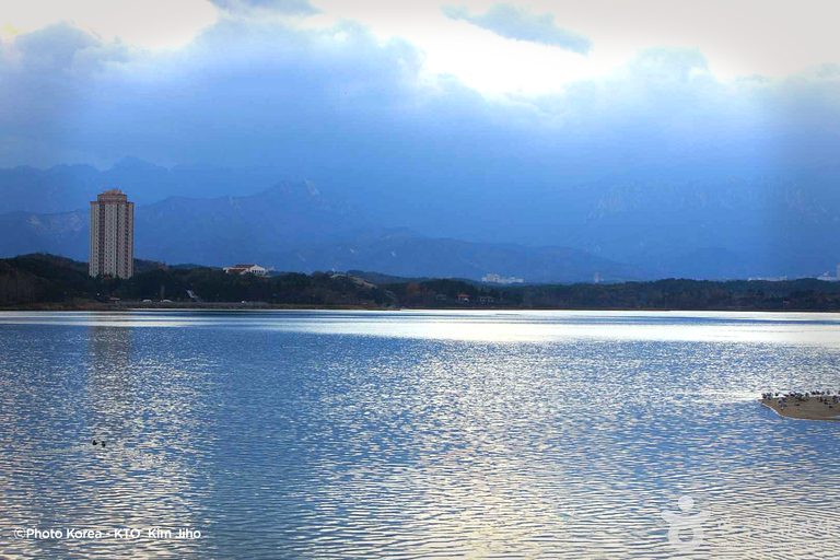 Seúl: Excursión de un día por la floración de los cerezos de primavera en CoreaGwangyangMaehwa y Jeonju desde la salida 8 de la calle Hongdae