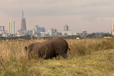 Nairobi Park Safari, Sheldrick's Orphanage & Giraffe Center Shared Drive in Open-Roof Van Game Drive