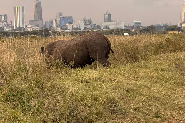 Nairobi Park Safari, Sheldrick's Orphanage & Giraffe Center Shared Drive in Open-Roof Van Game Drive
