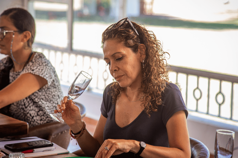 Tour e degustação de tequila no campo com transporte