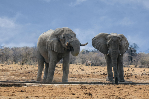 Namibie : 10 jours d&#039;excursion avec hébergement