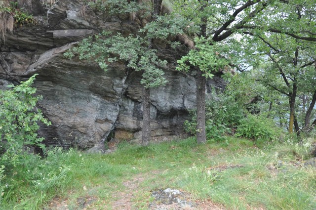 Visit FAUNA AND FLORA OF EXPOSED AND ENGRAVED ROCKS in Aoste