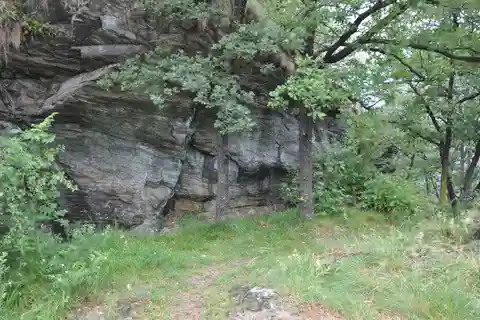 FAUNA UND FLORA FREILIEGENDER UND EINGESCHNITTENER FELSEN