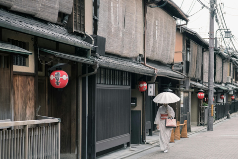 Osaka: Excursión de un día a Kioto en Shinkansen - Perfecto para cruceros