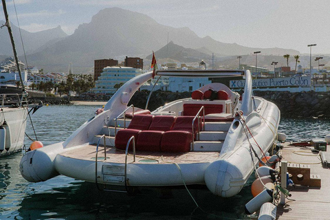 Tenerife: Opera 60 Whale & Dolphin Cruise with Lunch