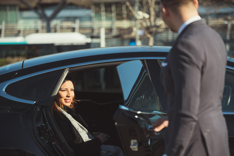 Lyon : Privé transfer van/naar Lyon Saint-Exupery Luchthaven