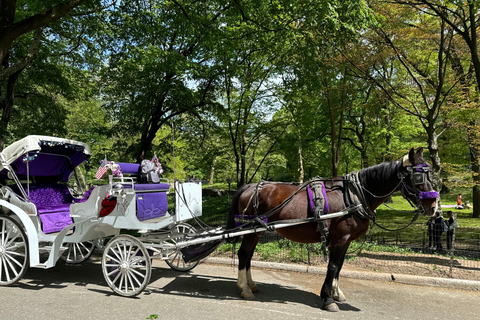 NYC: Passeio particular de carruagem a cavalo pelo Central Park com guiaPasseio particular de carruagem a cavalo pelas luzes de NYC ou pelas luzes de Natal