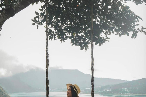North Bali: Dolphin Swim, Snorkeling, & Waterfall Cliff Jump Small Group With Hotel Transfer Central Bali