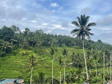 Bali ATV Quad Adventure Thrills Meet Culture Combined - Housity