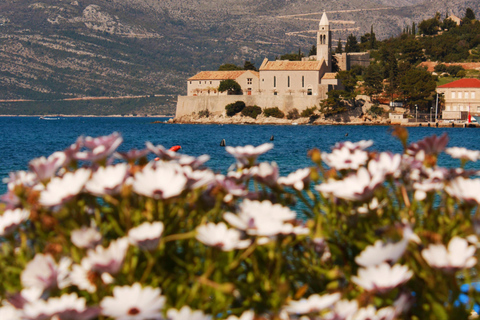 دوبروفنيك: جولة بالقارب ليوم كامل في الكهف الأزرق وجزر إلافيتي