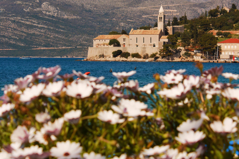 دوبروفنيك: جولة بالقارب ليوم كامل في الكهف الأزرق وجزر إلافيتي