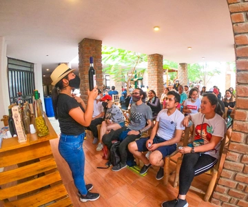 Ica: Tour a Paracas, con visita a las Islas Ballestas y Huacachina