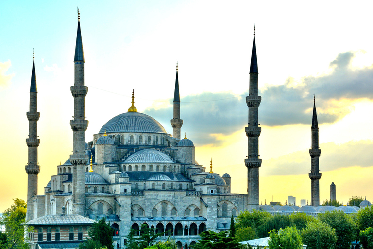 Tour guidato della Moschea Blu di Istanbul