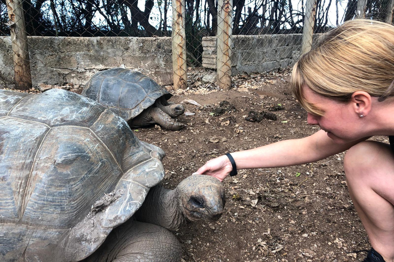 Zanzibar : visite de l'île-prison, de Stone Town et de la ferme aux épicesVisite privée : Île-prison, Stone Town et ferme d'épices