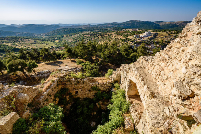 Au départ d'Amman : Visite privée de Jerash, du château d'Ajloun et d'Umm QaisSeulement Jerash (visite de 5 heures)