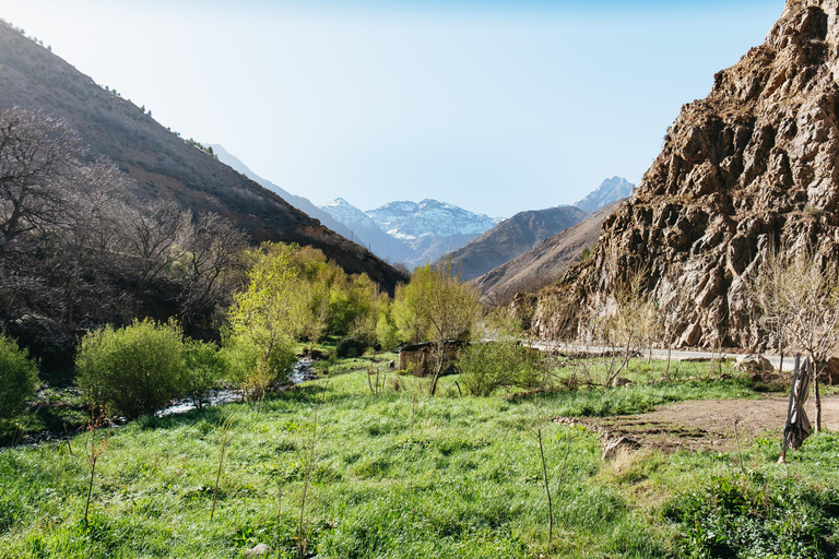 Ab Marrakesch: 2-tägige Wanderung im Atlasgebirge