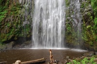 Morogoro, Udzungwa Mountains National Park Day Day - Housity