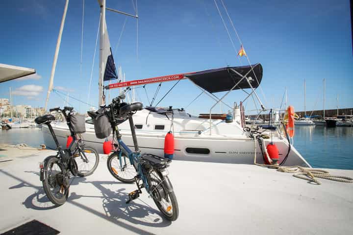 Image 3