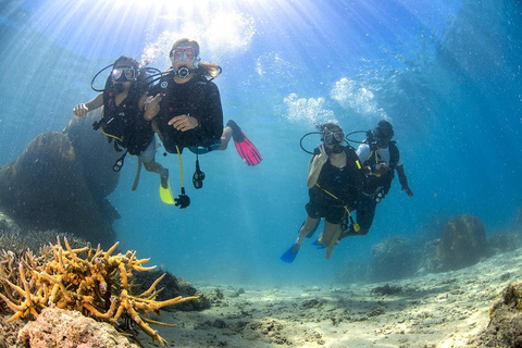 3 night/4 day Fiji Islands Adventure, Culture & Snorkeling Dorm Accommodation