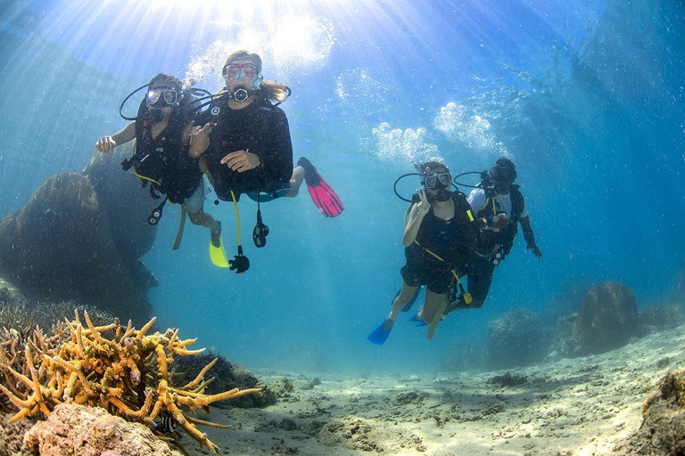 3 night/4 day Fiji Islands Adventure, Culture & Snorkeling Dorm Accommodation