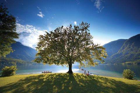 Bled: Guided E-Bike Tour to Lake Bohinj & Triglav Park