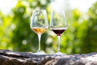 Antike Kourion, Kolossi Castle, Omodos & Winery Tour - Hizvo