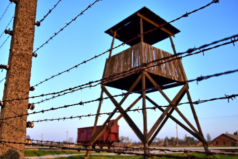 Cracovia: Auschwitz-Birkenau y mina de sal de Wieliczka con recogidaTour con un conductor privado