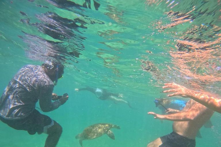 Mirissa: Guided Snorkeling Tour with GoPro Photos & Videos