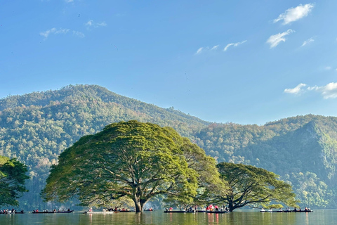 Chiang Mai: Wat Ban Den, Sticky Waterfall, & Rain Tree Tour Giant Rain Tree, Sticky Waterfall, Hiking at Moai Mountain