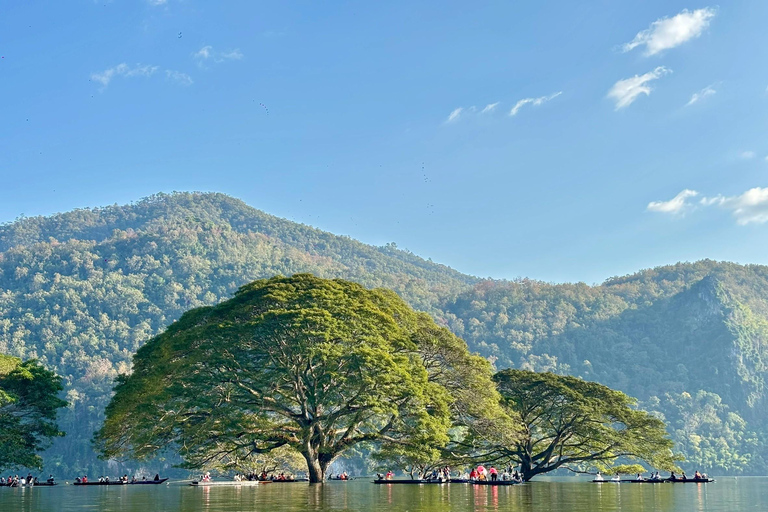 Chiang Mai: Wat Ban Den, Sticky Waterfall, & Rain Tree Tour Giant Rain Tree, Sticky Waterfall, Hiking at Moai Mountain