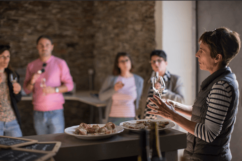 Visit an estate and taste wines in the Nantes vineyards