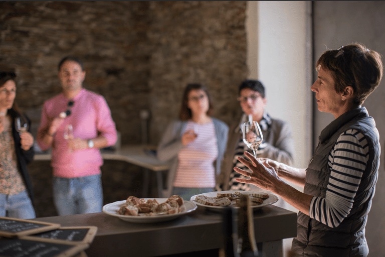 Visit an estate and taste wines in the Nantes vineyards