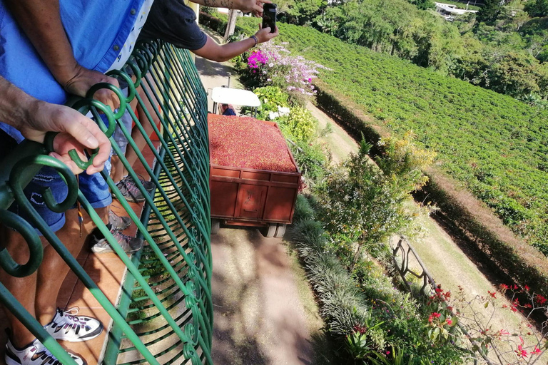 From San Jose: Poas Volcano One Day Tour Poas Volcano One Day Tour