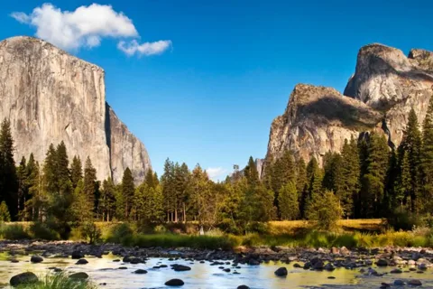 Desde San José:Excursión encantada de un día completo al Parque Nacional de Yosemite